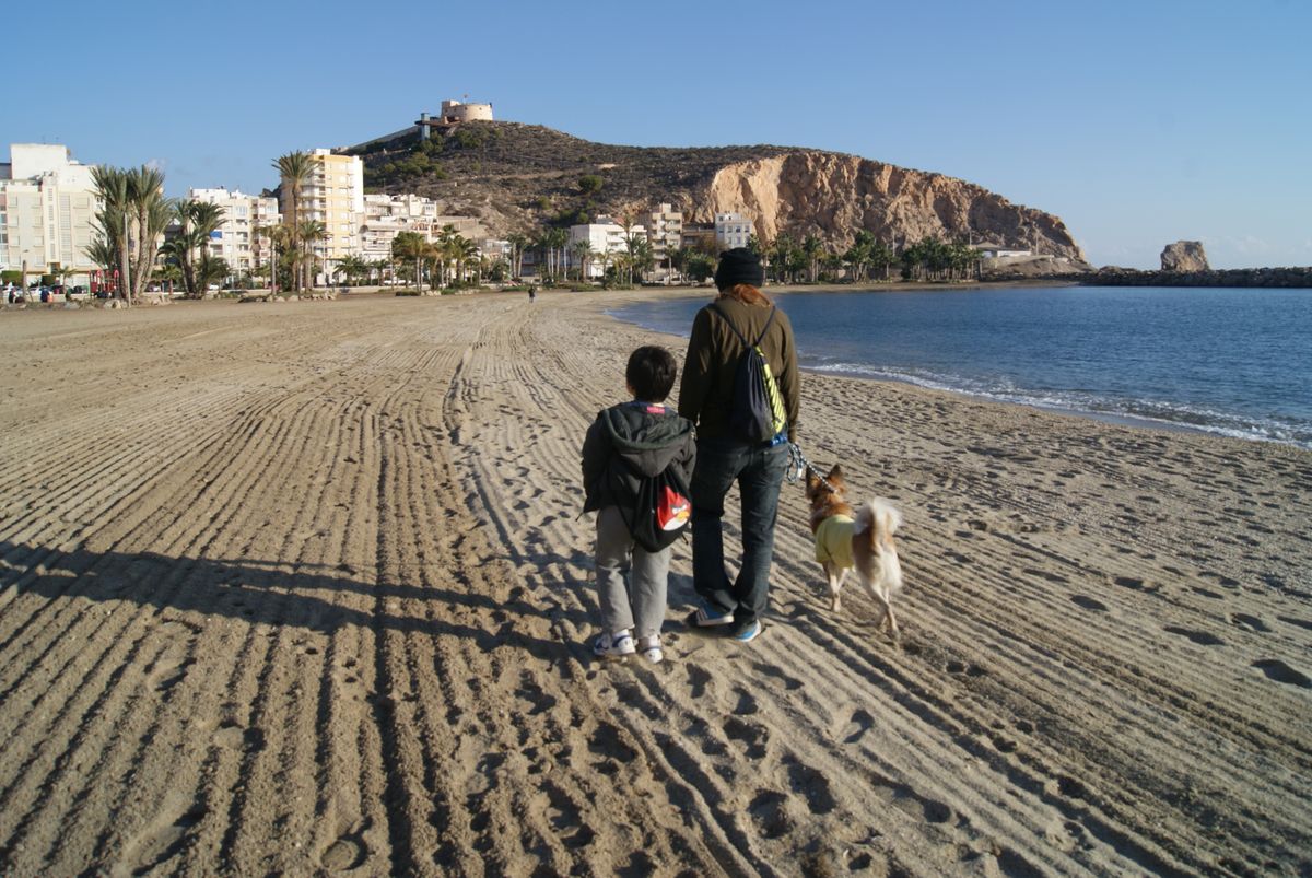 Mis hermanos de caminando por la playa con el perro