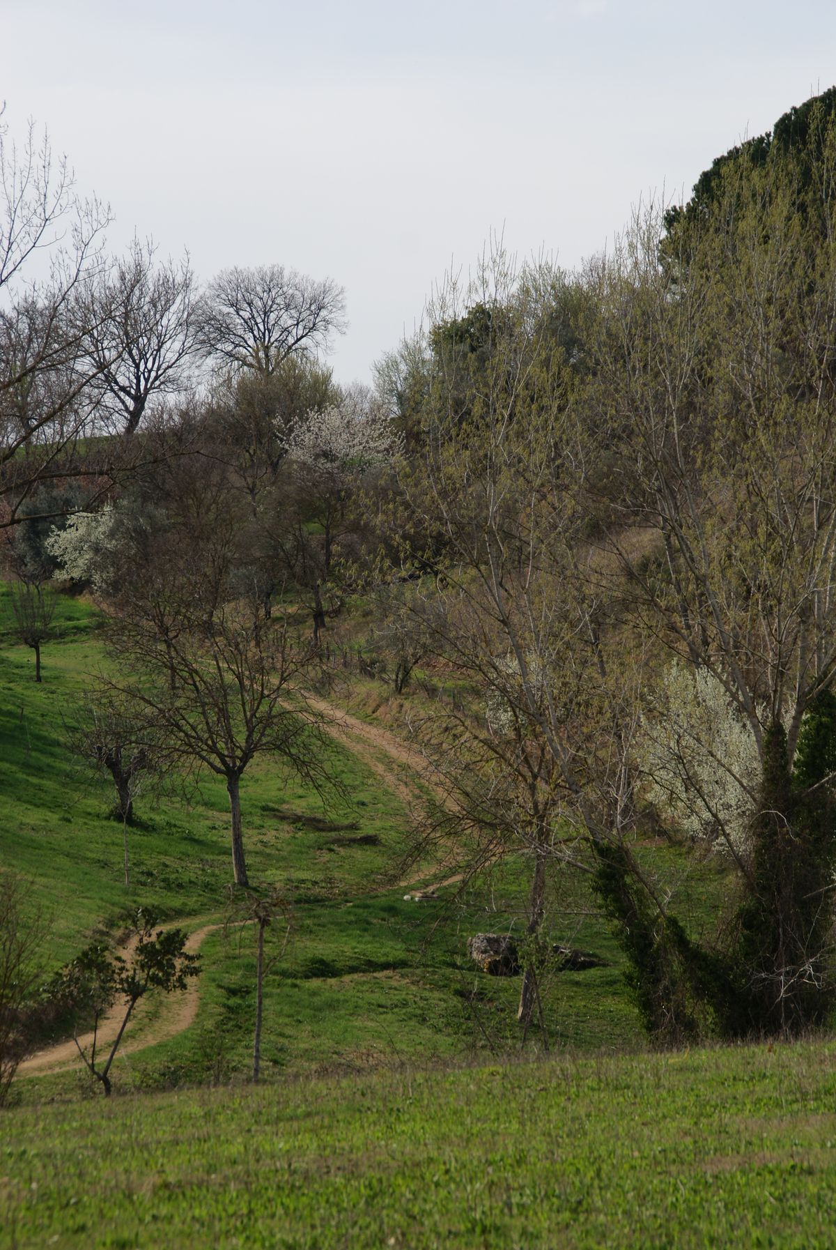 Landweggetje in omg. Roccantica, Lazio, Italië