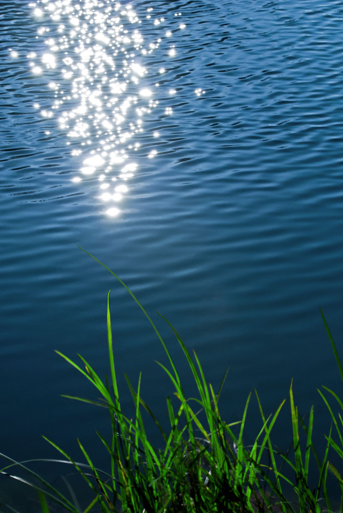 Reflets de lumière sur le canal du Berry