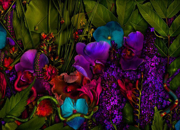 emotionalartwork.jpg emotionalartwork.jpg