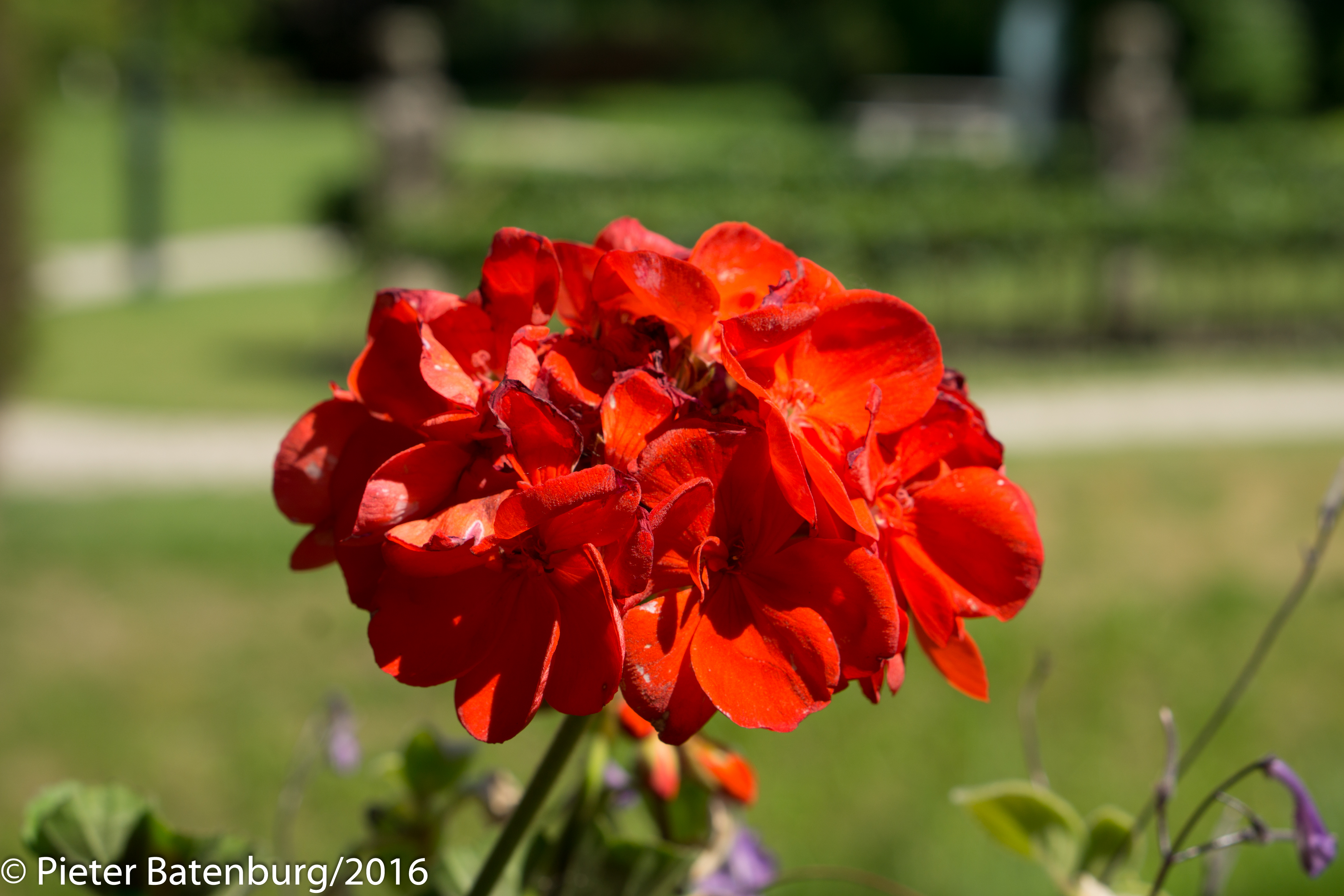 DSC00311.jpg