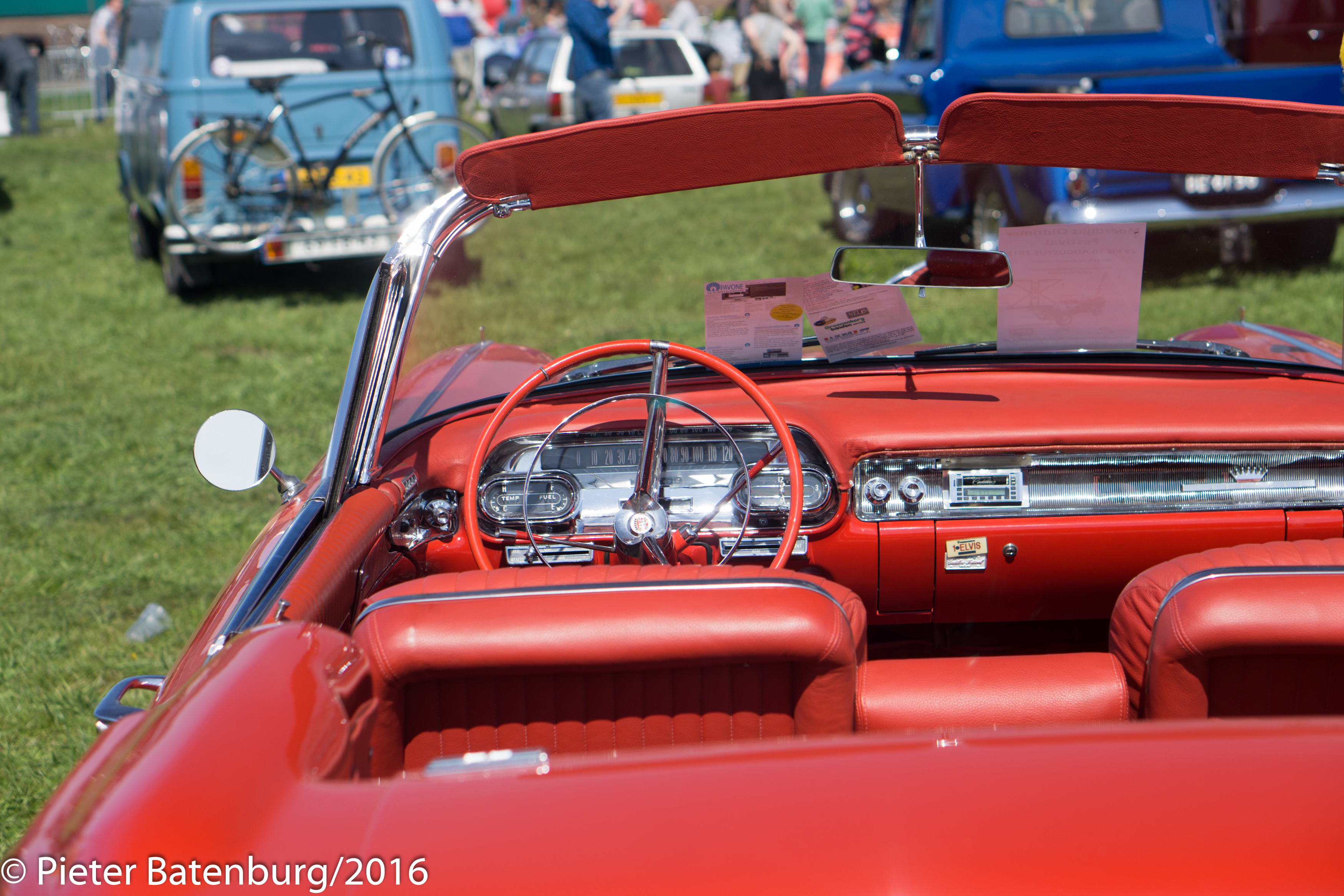 DSC07242.jpg