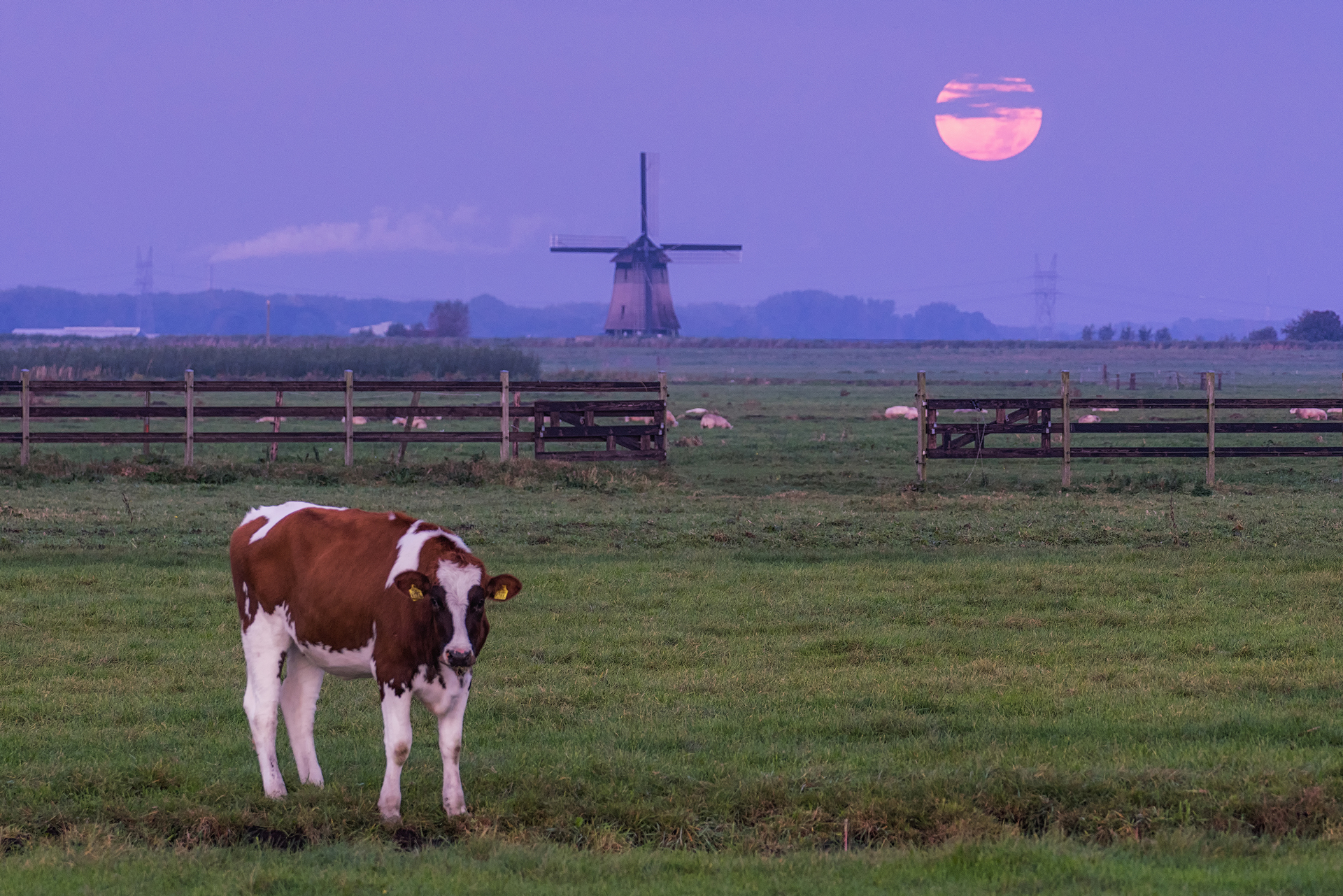 Dutch Supermoon