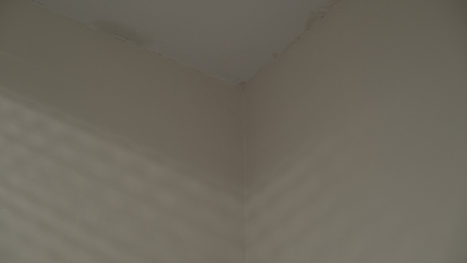 25fps, 1080p, f5