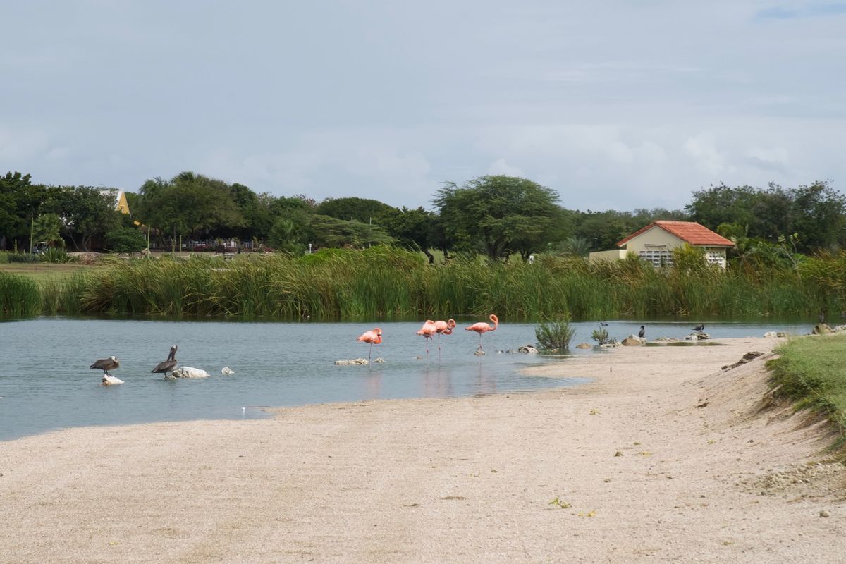 Op het Blue Bay resort (onbewerkt)