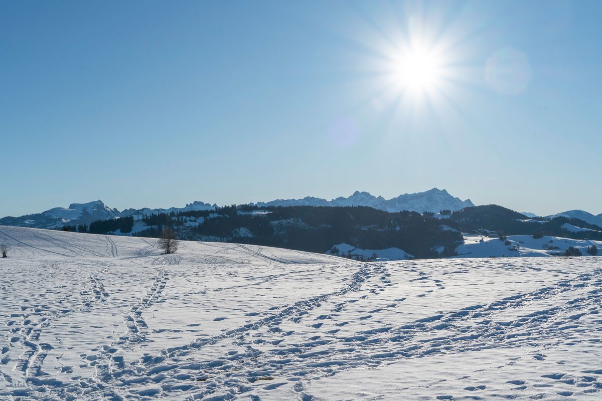 Heute endlich mal wieder an der Sonne... letztes Foto von 2024