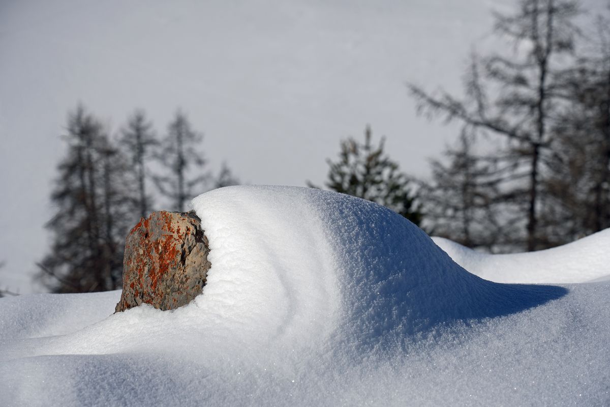 La gangue de neige.