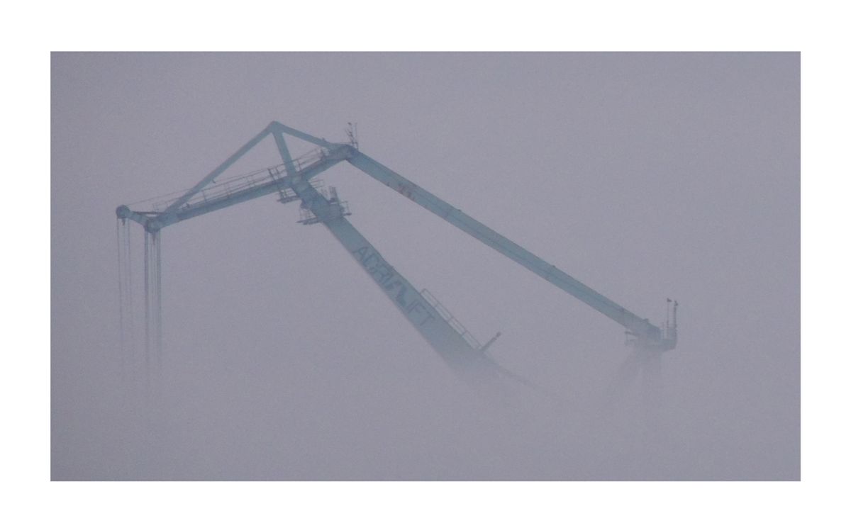 Nebbia di matina