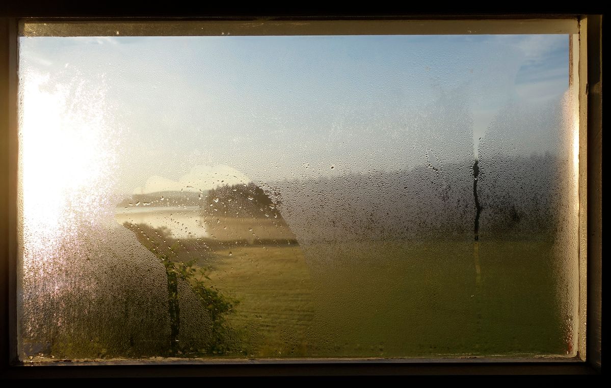 Sunrise view from my room Cape Breton, Canada. Sony RX100