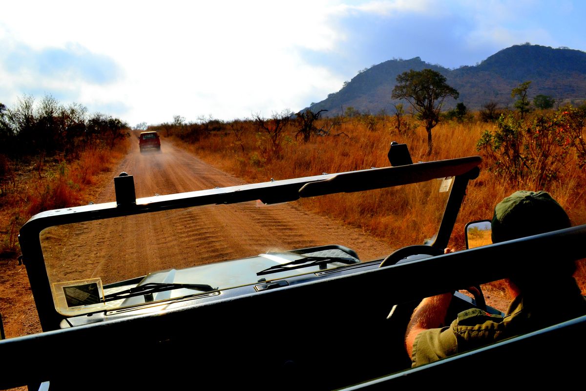 Traveling throughout the Kruger Park.