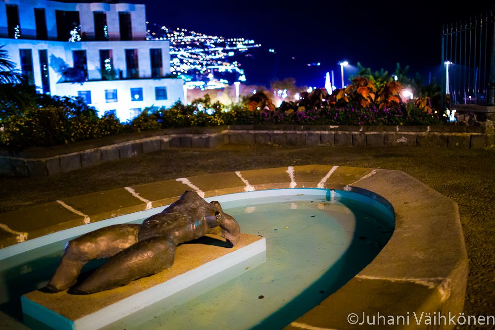 20121212_Madeira_0435.jpg