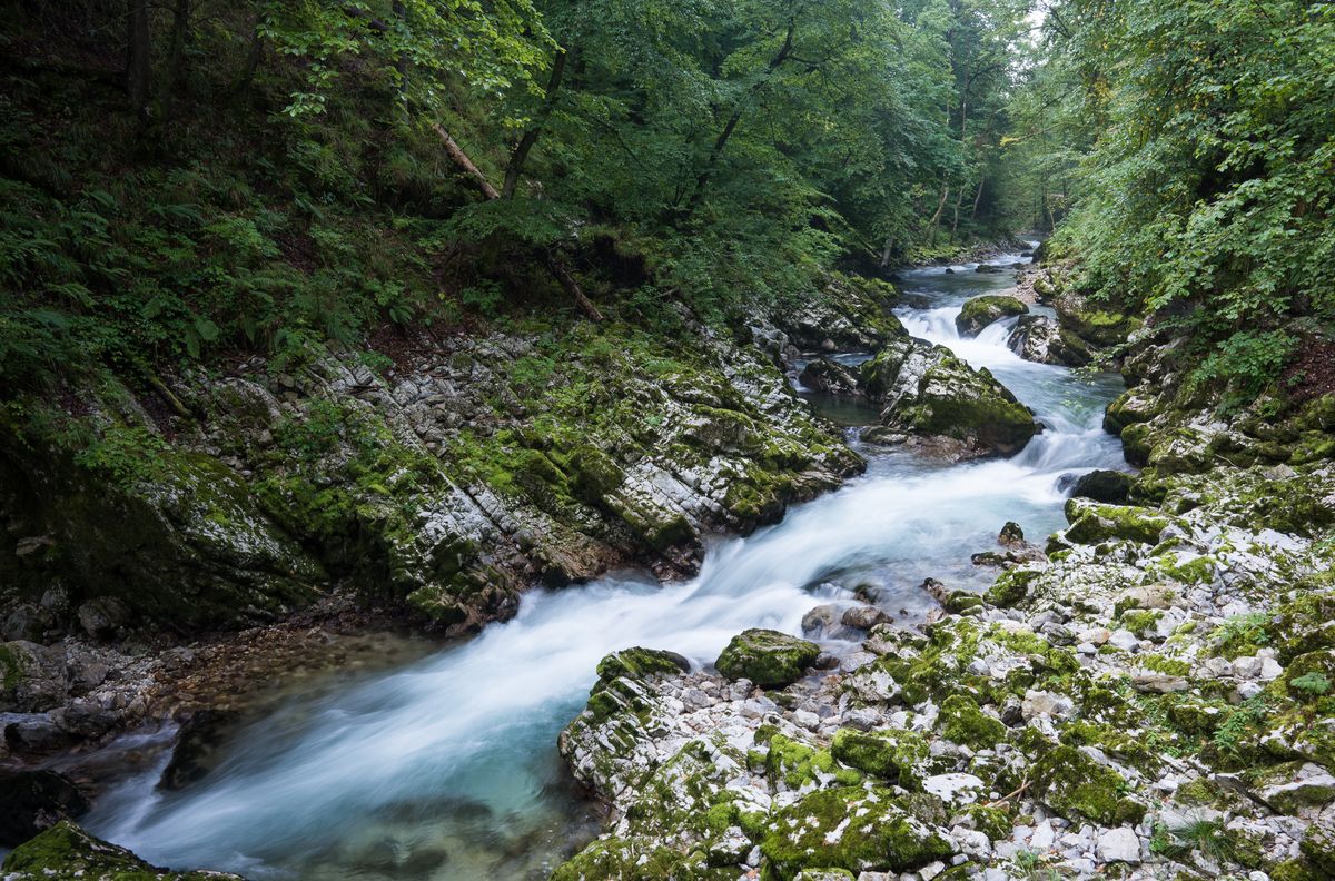 Gorges de Vintgar